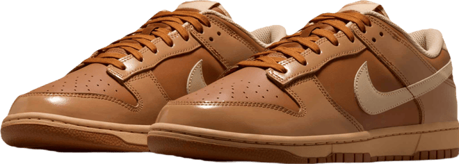 Nike Dunk Low Retro Men's Shoes