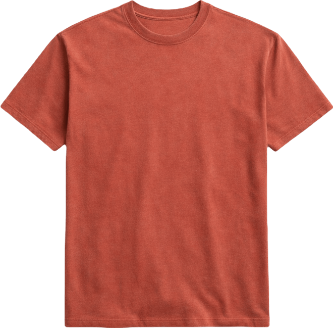 DSG Men's Relaxed Cotton T-Shirt