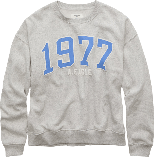 AE Graphic Crew Neck Sweatshirt | American Eagle