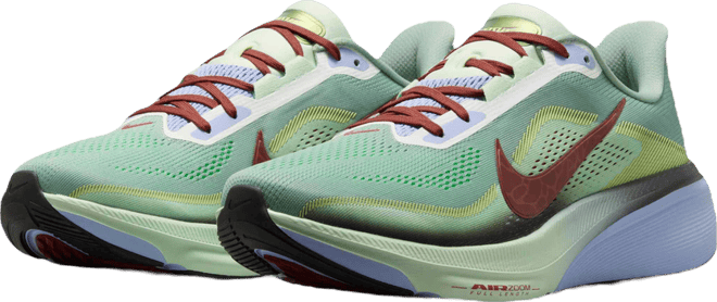 Nike Pegasus 42 SE Men's Road Running Shoes
