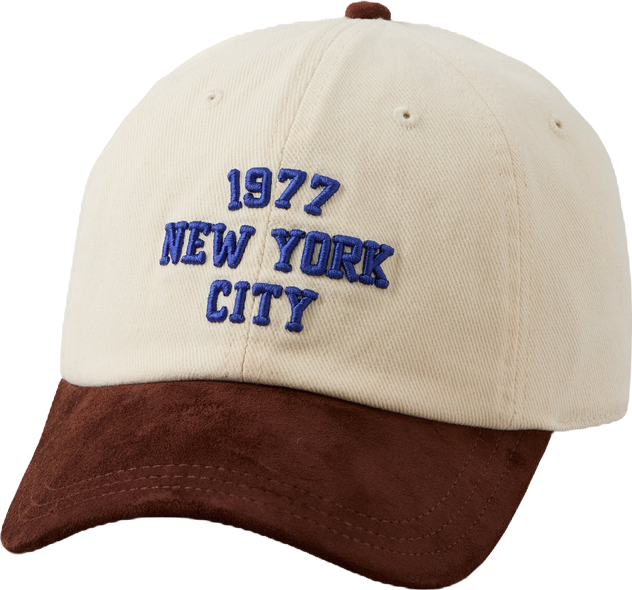 AE Graphic Baseball Hat | American Eagle