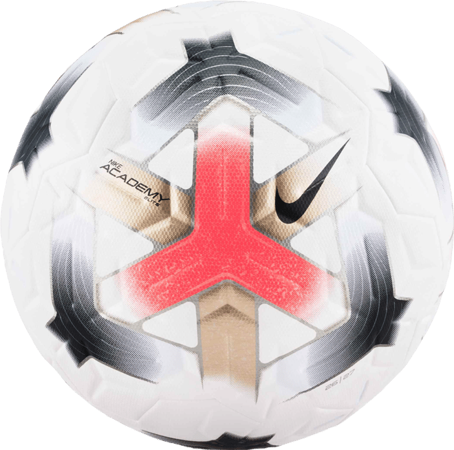 Nike Academy Elite Ballon de foot