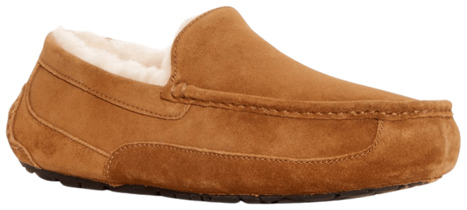 Ugg ascot outlet bomber