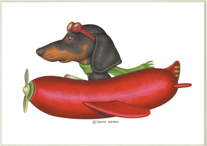 Flying dachshund sales