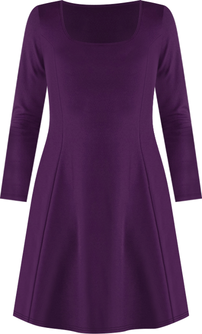 Women's Simple Long Sleeve Knee Length Flared Dress