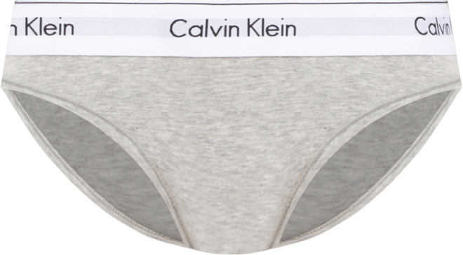 Women's Modern Cotton Bikini Underwear F3787