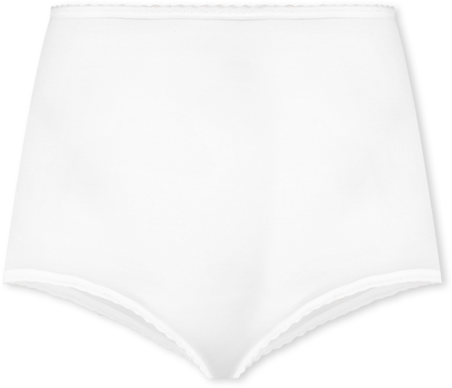 Skimp Skamp Brief Underwear 2633