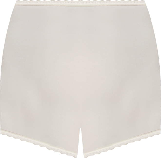 Skimp Skamp Brief Underwear 2633