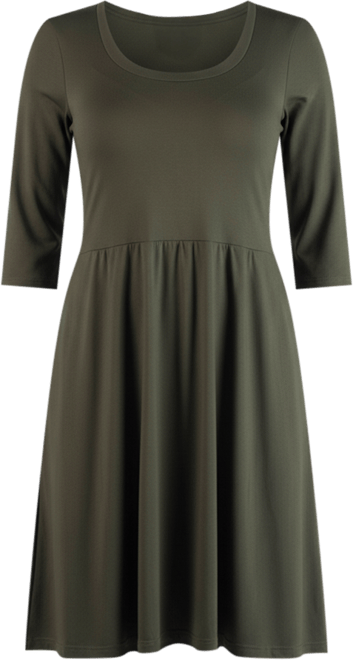 Women's Plus Size Fit and Flare Dress