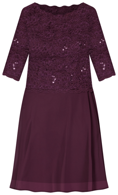 Sequined Lace Contrast Dress