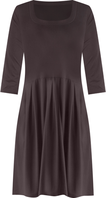 Women's Plus Size Fit and Flare Dress