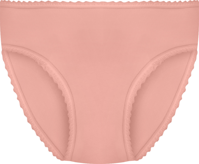 Skimp Skamp Brief Underwear 2633