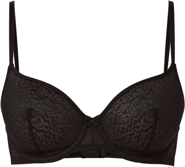 Women's Modern Lace Sheer Demi Bra