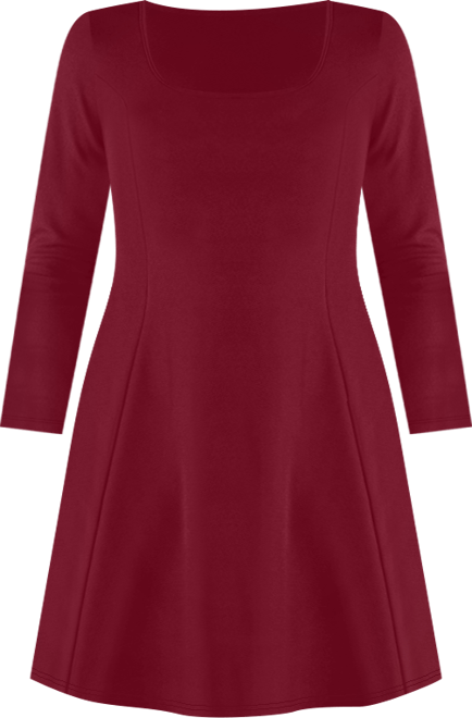 Women's Plus Size Fit and Flare Skater Dress