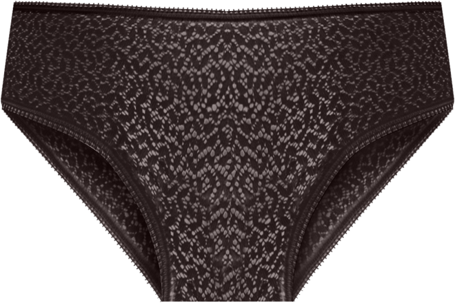 Women's Modern Lace Sheer Hipster Underwear DK5014