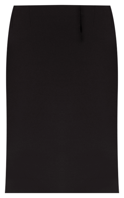 Plus Size Skimmer Skirt