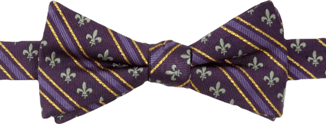 Men's Mardi Gras Stripe Bow Tie