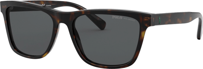 Men's Polarized Sunglasses, Polar PH4167