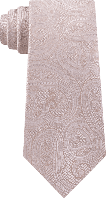 Men's Rich Texture Paisley Silk Tie