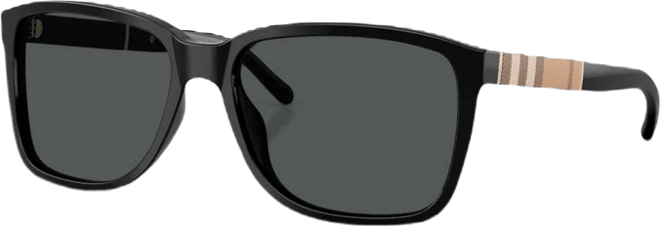 Men's Sunglasses, BE4181