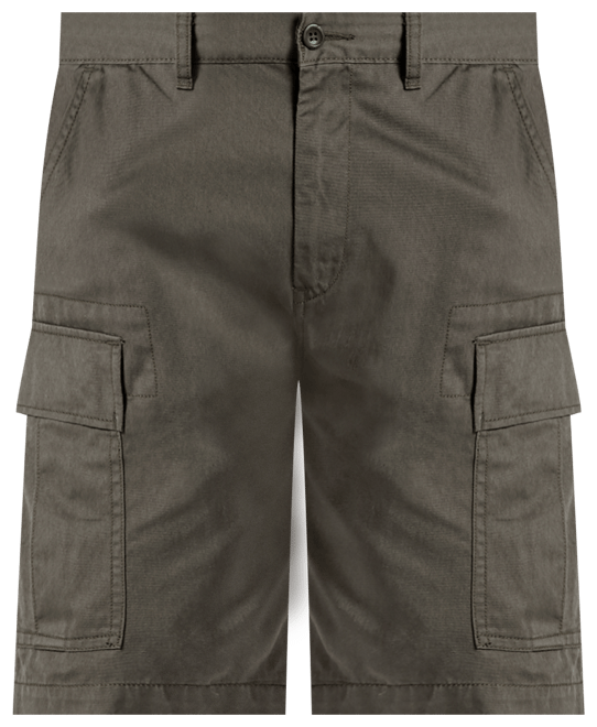 Levis cargo clearance shorts macy's