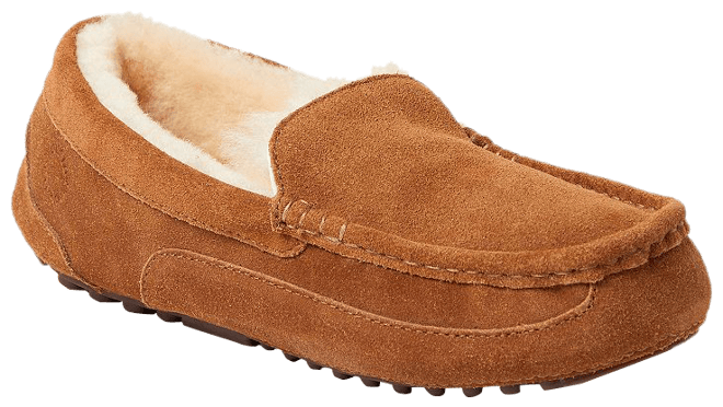 Mens slippers outlet melbourne