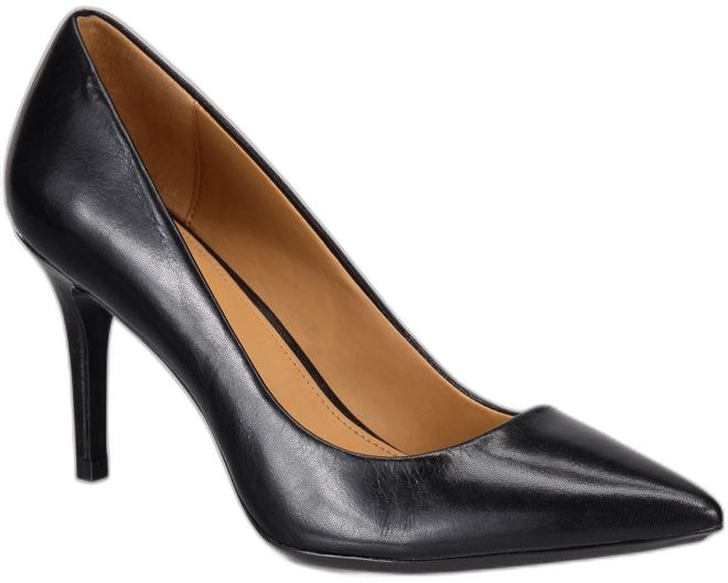 Women's Gayle Pointy Toe Stiletto Pumps