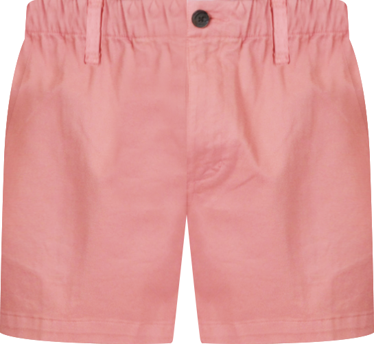 Men's Elastic Waist Pull-On 5.5" Shorts