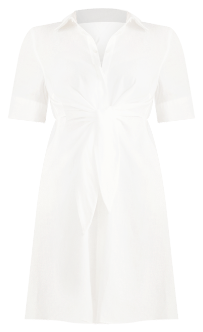 Plus-Size 100% Linen Shirtdress