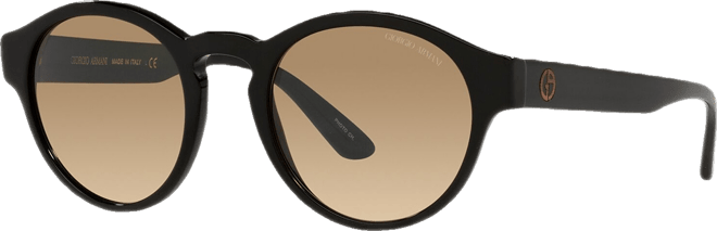Men's Sunglasses, AR8146 50