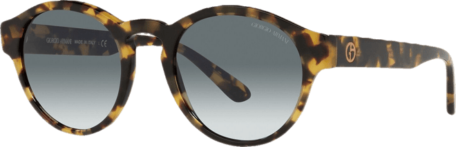 Men's Sunglasses, AR8146 50