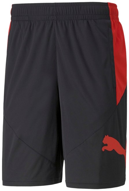 PUMA Cat Training Shorts