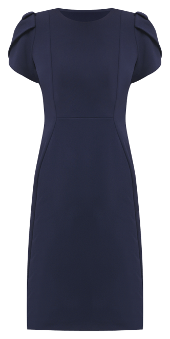 Tulip-Sleeve Sheath Knee-length Dress