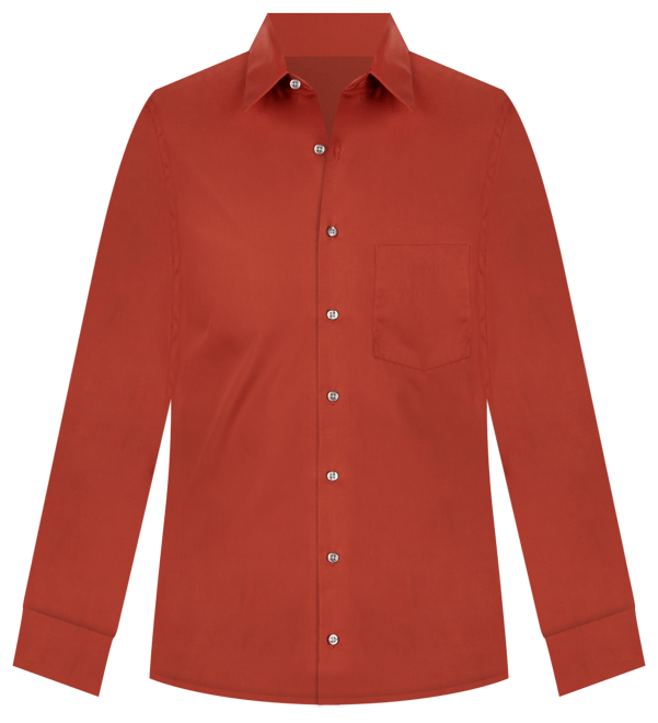 Men's Regular Fit Point Collar Poplin Dress Shirt