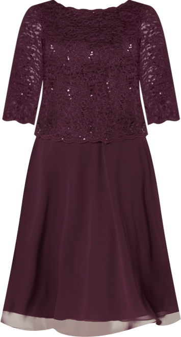 Plus Size Sequined Lace A-Line Dress
