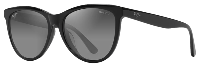 MANCHESTER SUNGLASSES in neutrals