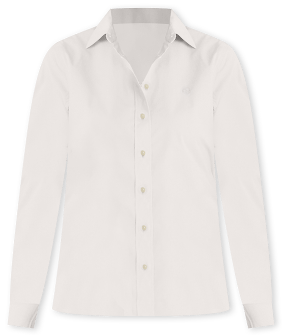 Ralph Lauren Classic Long Sleeve No Iron Button Down Shirt