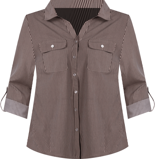 Petite 3/4 Sleeve Roll Tab Notch Collar Blouse