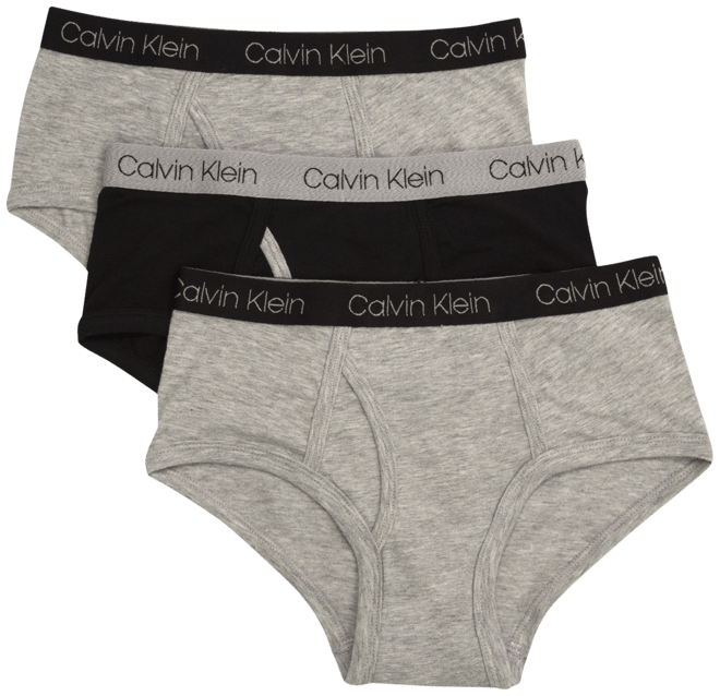 Calvin Klein 3 Pk. Cotton Briefs Little Boys Big Boys Macy s