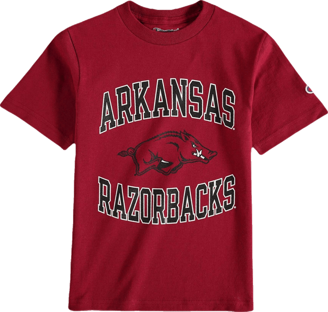 Big Boys Cardinal Arkansas Razorbacks Circling Team Jersey T-shirt