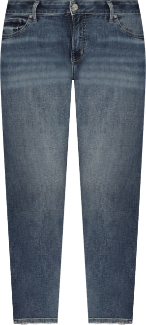 Plus Size Suki Mid Rise Skinny Leg Jeans