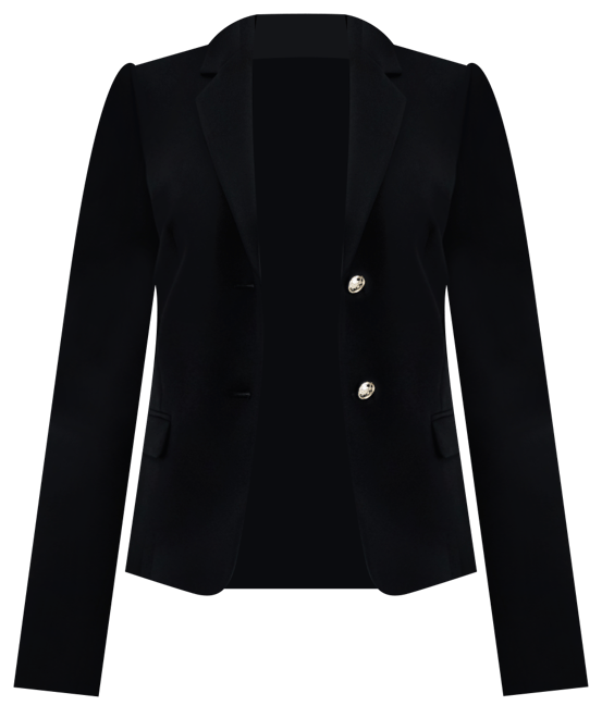 Two-Button Blazer, Regular and Petite