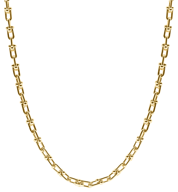 Vicky Chain