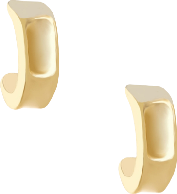 Gold Plated Curved Earrings