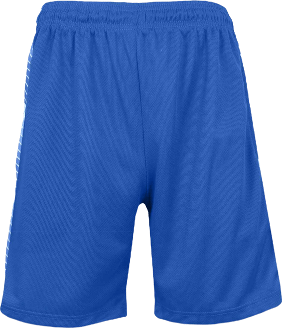 Men's Moisture Wicking Performance Mesh Shorts