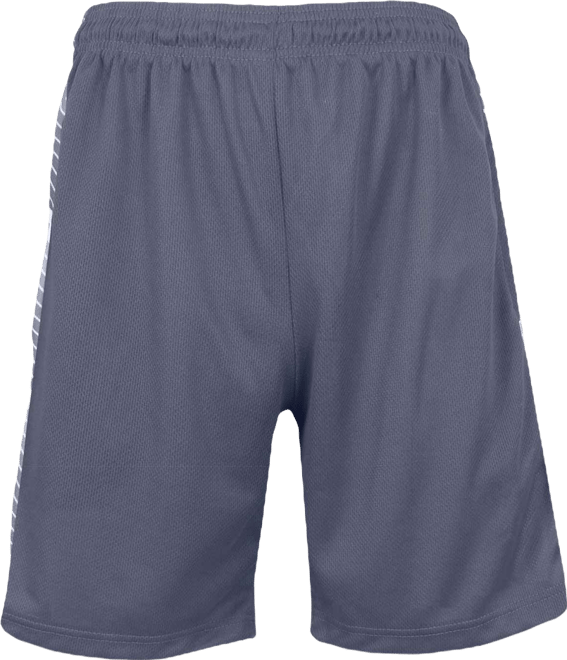 Men's Moisture Wicking Performance Mesh Shorts