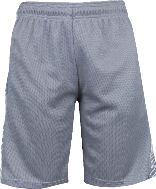 Men's Moisture Wicking Performance Mesh Shorts