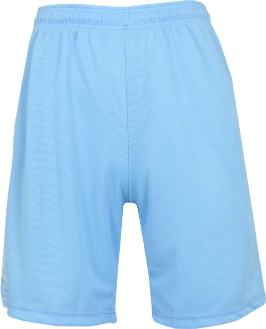 Men's Moisture Wicking Performance Mesh Shorts