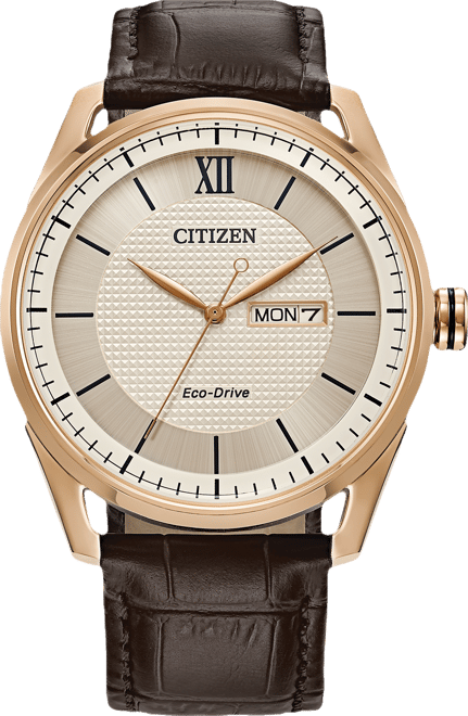 Citizen Eco-Drive Men's Brown Leather Strap Watch 42mm - Macy's