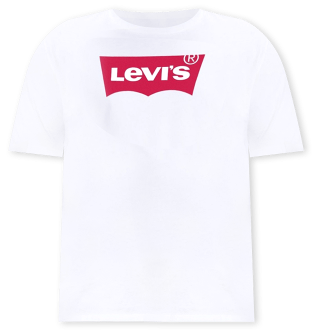 Men's Big and Tall Graphic Crewneck T-shirt